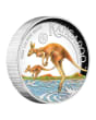 2026 1oz Australia Kangaroo .9999 Silver High Relief Coloured Proof Coin