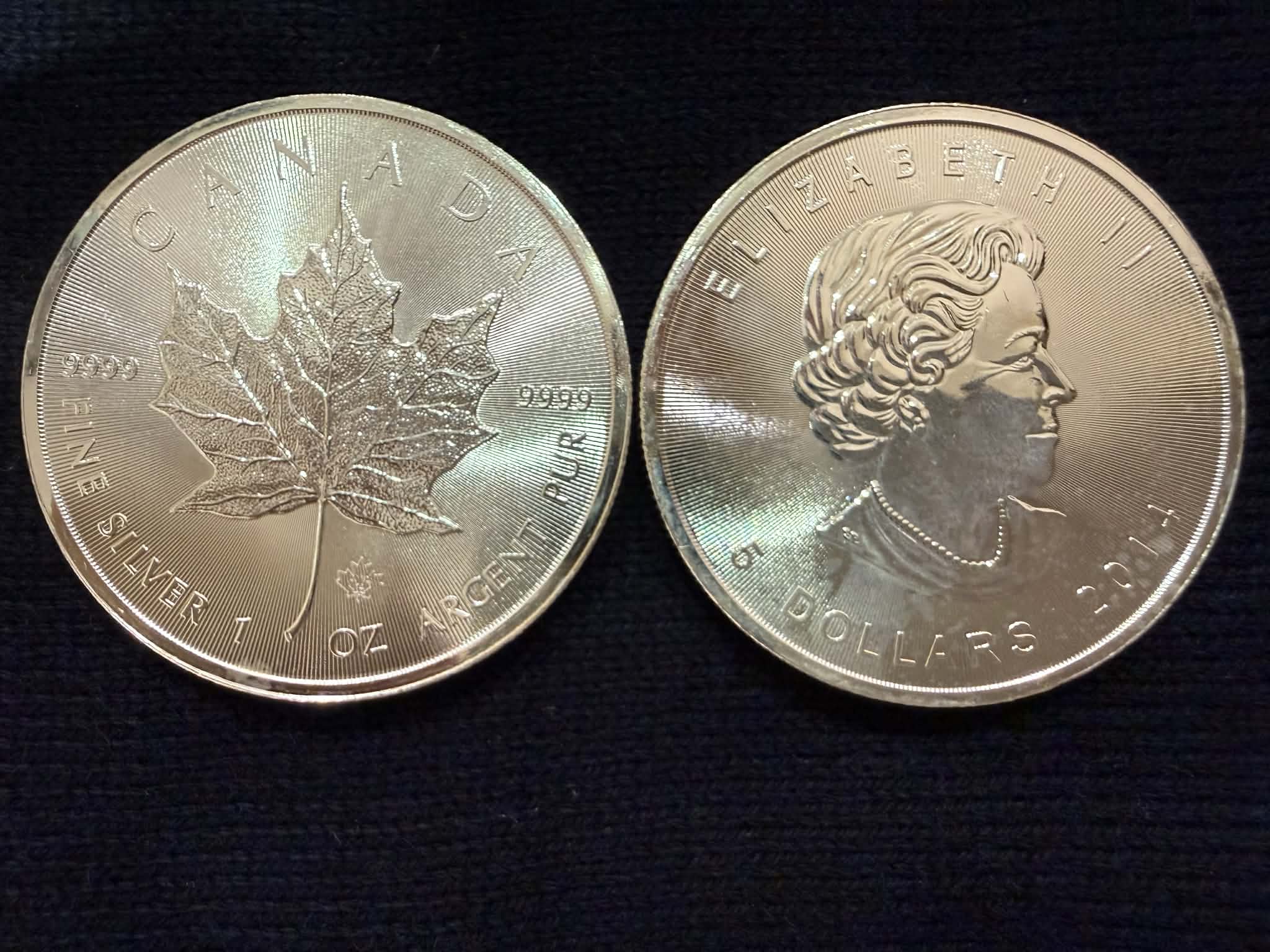 1 oz Canadian Silver Maple Leaf Bullion Coin
