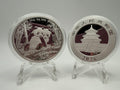 China 2026 Panda 99.9% Bullion Silver Coin 30g